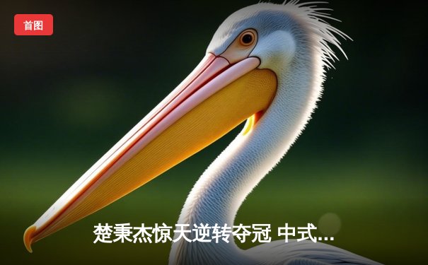 楚秉杰惊天逆转夺冠 中式台球国际精英赛上演史诗对决